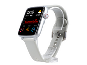 Smartwatch GlacierX Rhea Silver GX-RS19