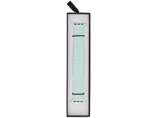 Pasek do smartwatcha GlacierX Silicone Magnetic ExoStripe Mint Green do Apple Watch 38/40/41mm Miętowy